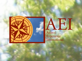 AEI poster